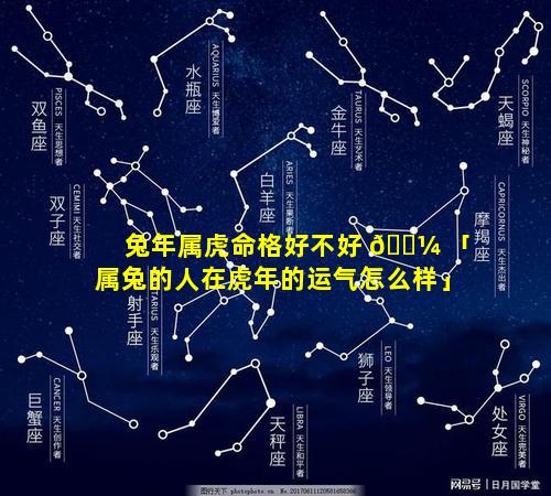 兔年属虎命格好不好 🐼 「属兔的人在虎年的运气怎么样」